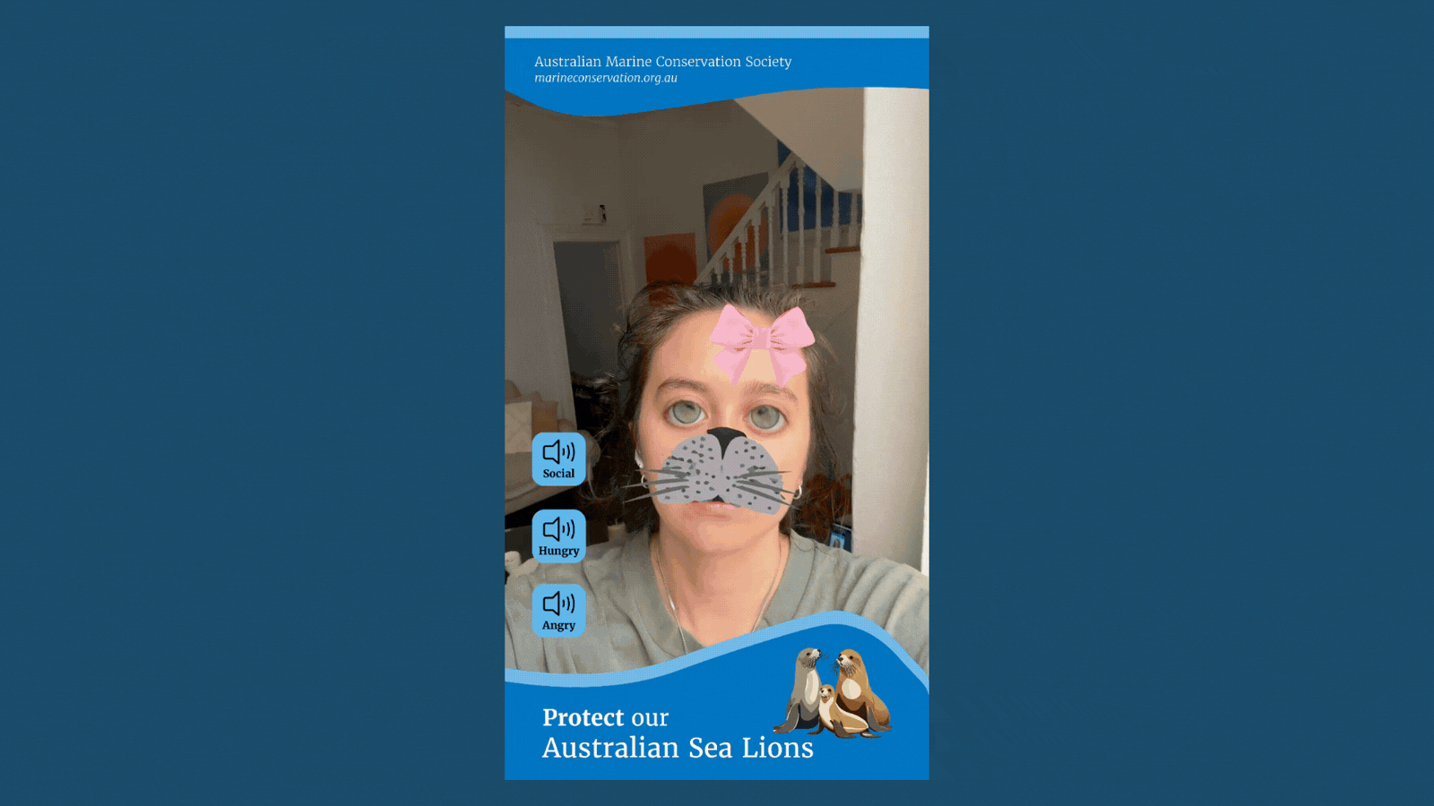 Save the Sea Lions AR experience interface