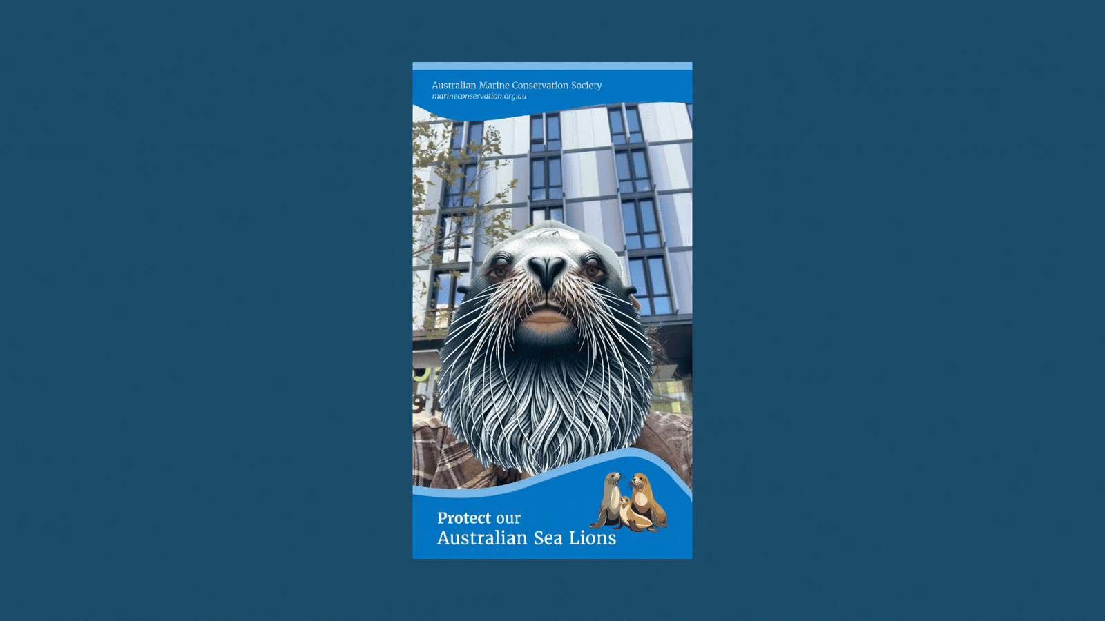 First prototype of the Save the Sea Lions AR experience showing initial marker tracking